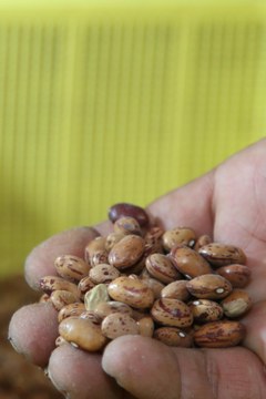 cyd-221116-portada-g.jpg