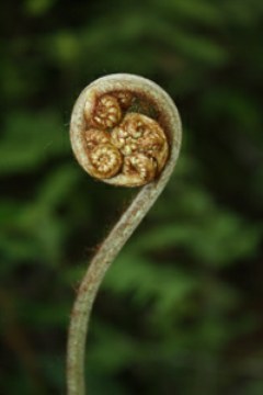 cyd-060117-portada-n.jpg
