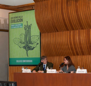 100217_EVOLUCION Flores_0013.jpg