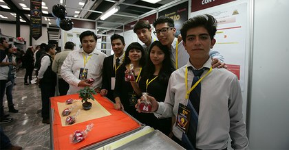 IC-236.jpg