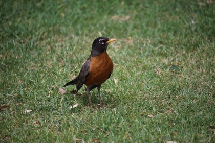 Foto Coloquio Biodiversidad.JPG