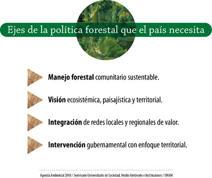 grafico forestal.jpg