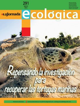 Portadita 291.jpg