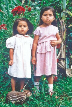 16 - Chimalalpas Tres Picos1993.jpg 16 - Chimalalpas Tres Picos1993.jpg